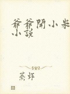 爷爷开小米的包小说