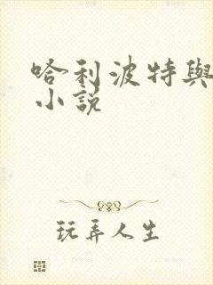 哈利波特与密室小说