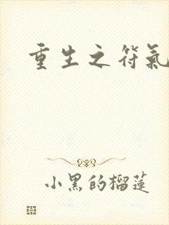 重生之符气冲天