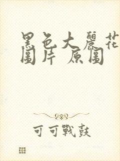 黑色大丽花真实图片 原图