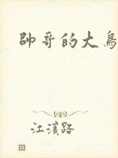 帅哥的大鸟