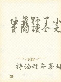 他最野了小说免费阅读全文