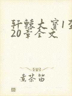 轩辕大宝1至720章全文