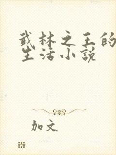 武林之王的退隐生活小说