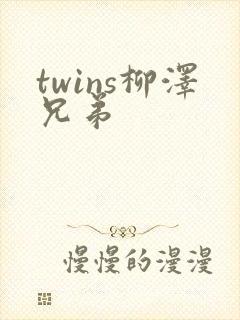 twins柳泽兄弟