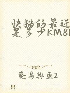 快猫的最近链接是多少KM8KW