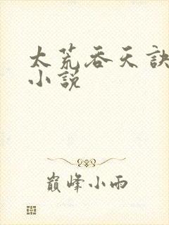 太荒吞天诀免费小说