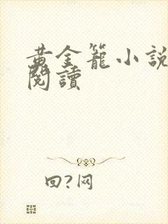 黄金笼小说免费阅读