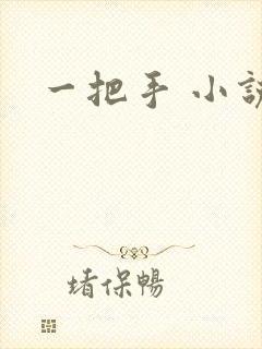 一把手 小说