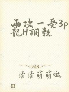 两攻一受3p双龙H调教