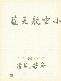 蓝天航空小说