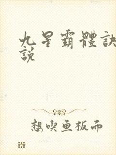 九星霸体诀 小说