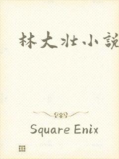 林大壮小说阅读