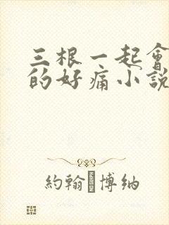 三根一起会坏掉的好痛小说