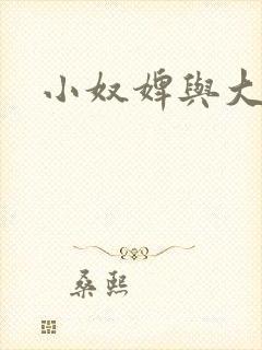 小奴婢与大少爷