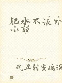 肥水不流外人田小说