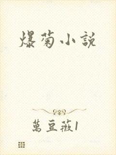 爆菊小说封面