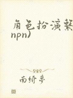 角色扮演系统(npn)