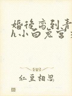 婚后脔到青梅哭h小白兔宫交h