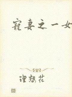 宠妻之一女二夫