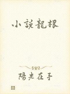 小说龙根