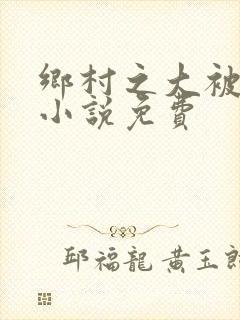 乡村之大被同眠小说免费