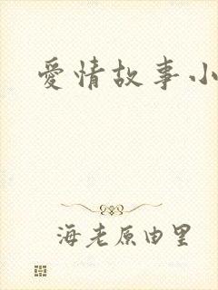 爱情故事小说
