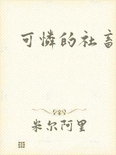 可怜的社畜小说