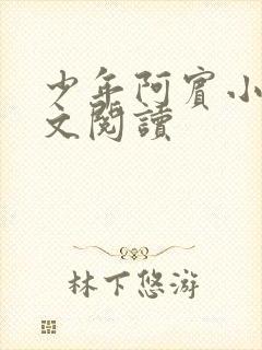 少年阿宾小说全文阅读