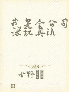 我是全公司的发泄玩具ih