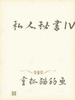 私人秘书1V1
