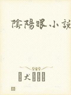 阴阳眼小说