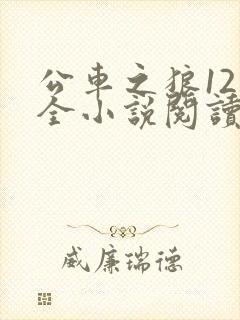 公车之狼12集全小说阅读