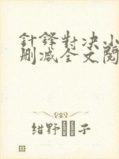 针锋对决小说未删减全文阅读