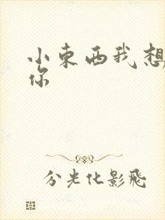 小东西我想弄坏你