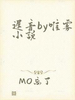 迟音by唯雾的小说