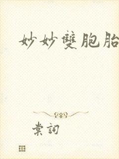 妙妙双胞胎封面