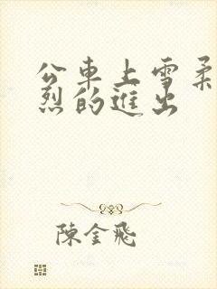 公车上雪柔被猛烈的进出