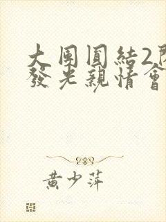 大团圆结2闪闪发光亲情会