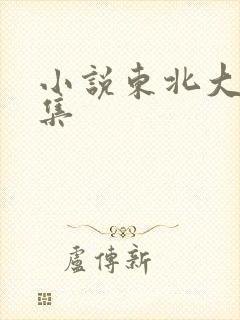 小说东北大炕全集