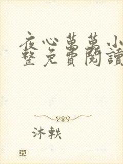 夜心万万小说完整免费阅读全文