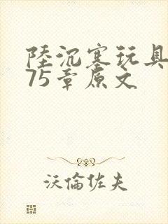 陆沉塞玩具高速75章原文