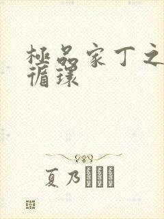 极品家丁之因果循环