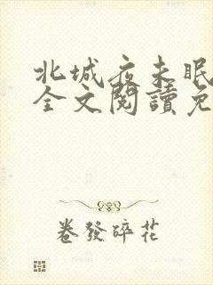 北城夜未眠小说全文阅读免费
