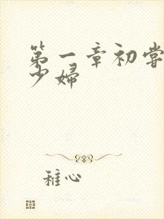 第一章初尝极品少妇