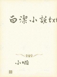 白洁小说txt