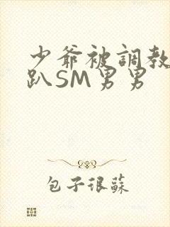 少爷被调教室跪趴SM男男