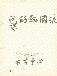 我的韩国流氓老婆