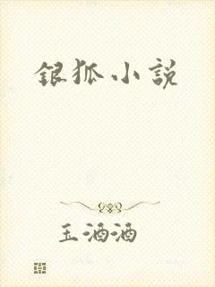 银狐小说