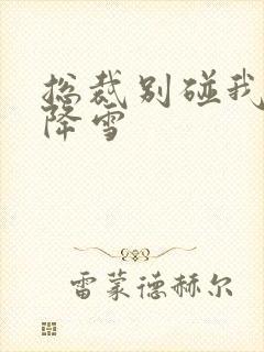 总裁别碰我 韩降雪